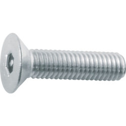 Hexagonal hole countersunk head bolt with pin (stainless steel)
