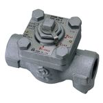 ATB-5 Type Steam Trap with Bypass (Triple Function)
