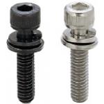 Screws with Captured Washer Image