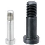 Bearing Shaft Screws